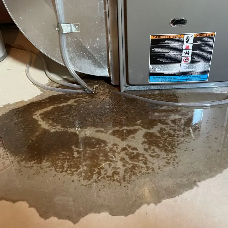Pipe Burst and Leak Restoration in Moca Municipio, PR